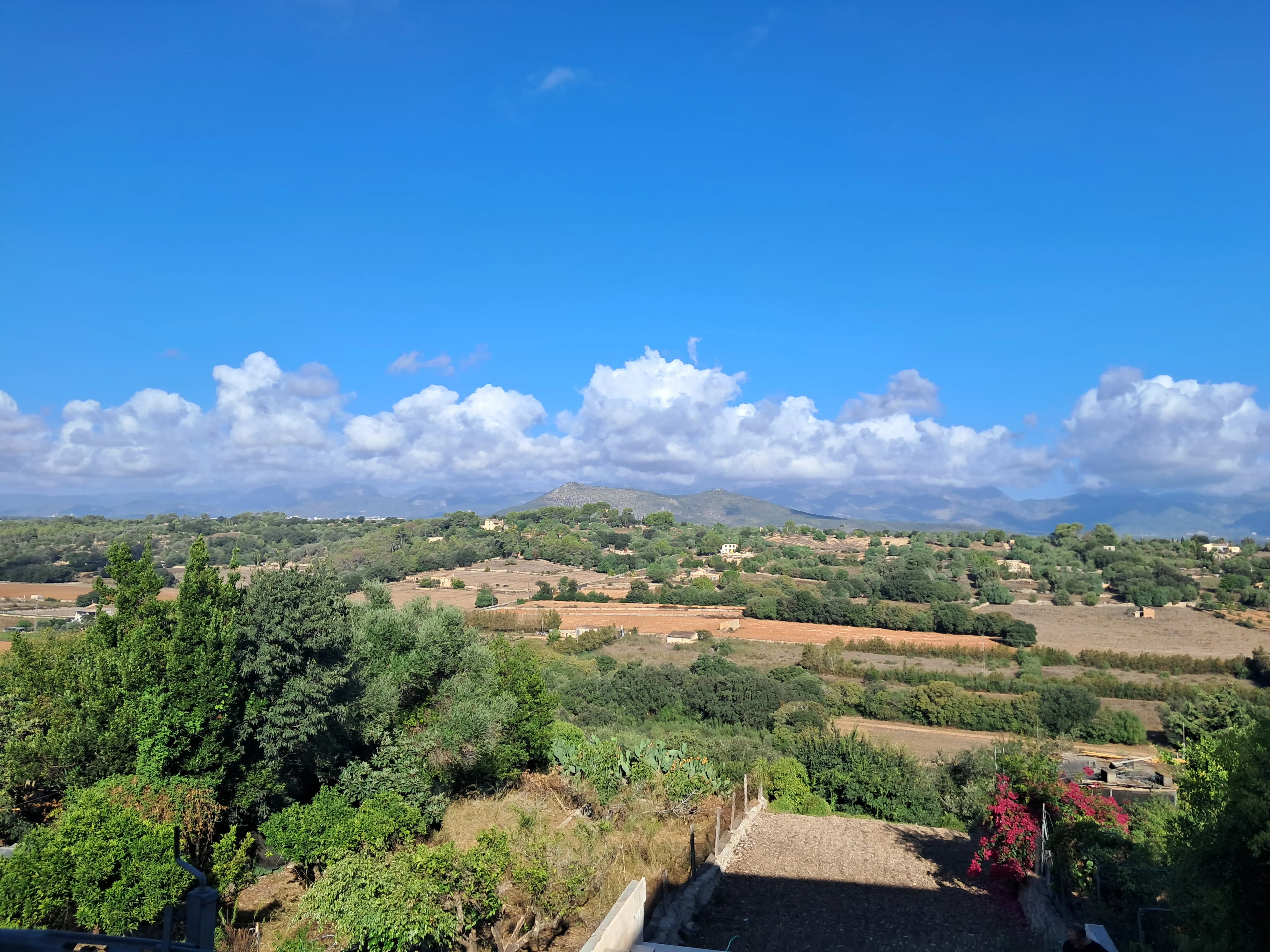 Newly built townhouse with panoramic views, pool & garden in Llubí-15