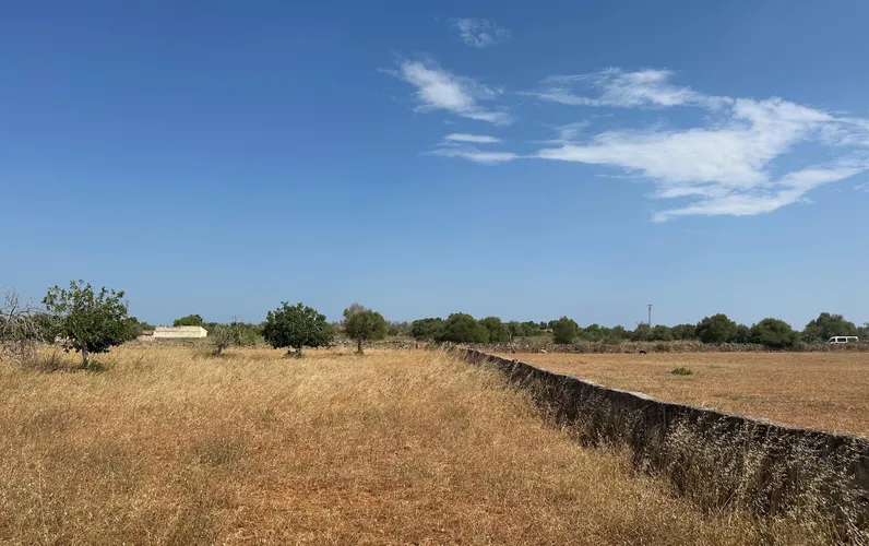 Rustykalna działka o powierzchni 18 500 m² z projektem i pozwoleniem na budowę, zaledwie 1 km od Santa Margalida