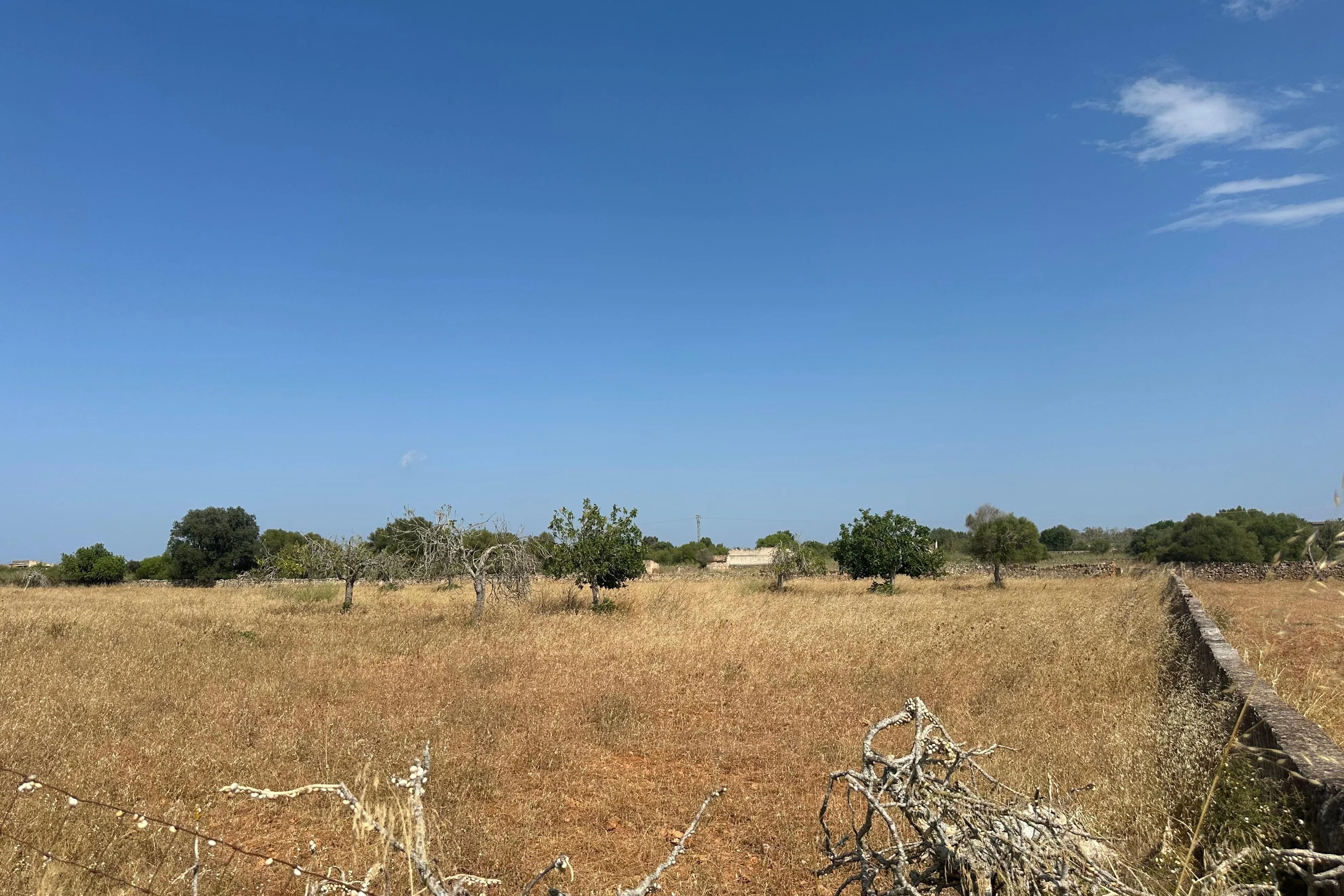 Finca rústica de 14.500 m² con proyecto y licencia, a solo 1 km de Santa Margalida-3