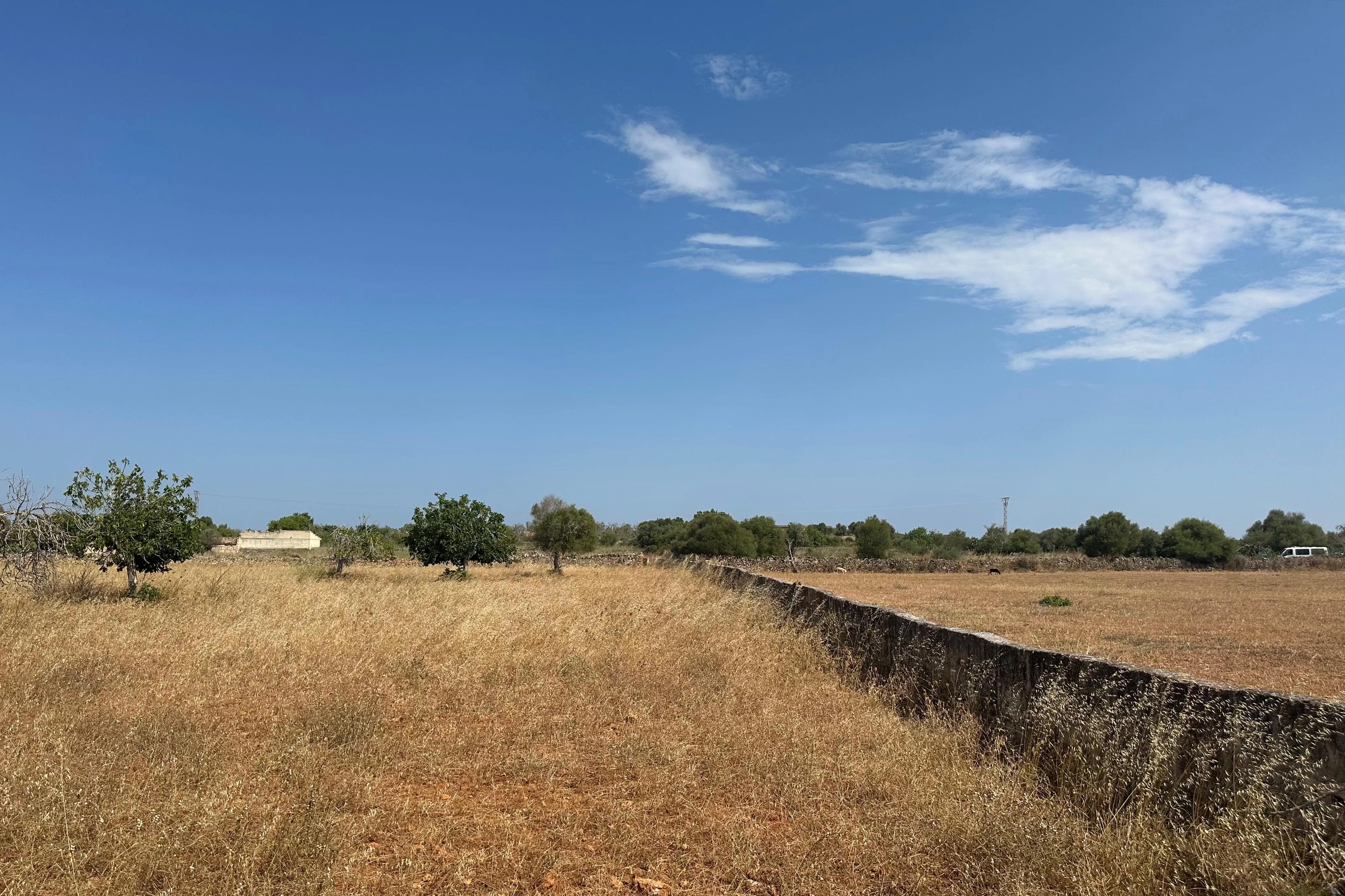 Finca rústica de 18.500 m2 amb projecte i llicència, a només 1 km de Santa Margalida-1