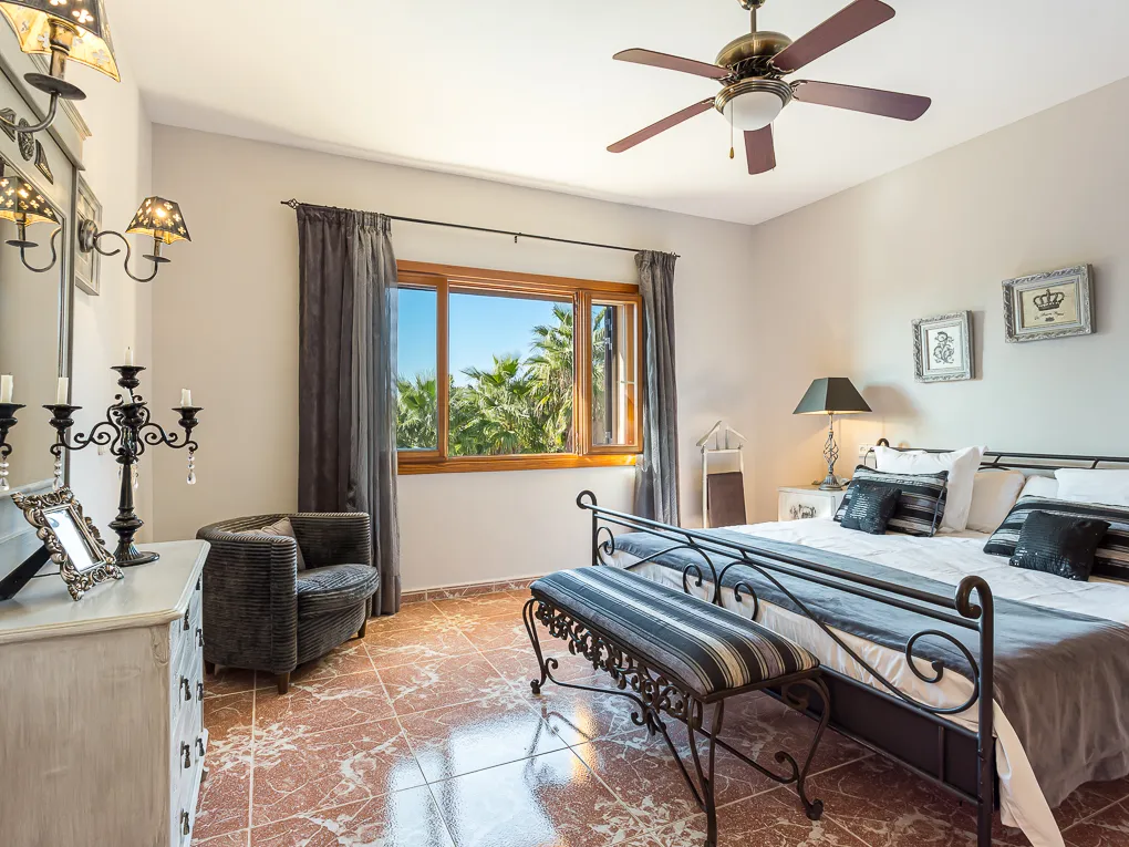 Schönes Landhaus mit Avocado-Farm-13