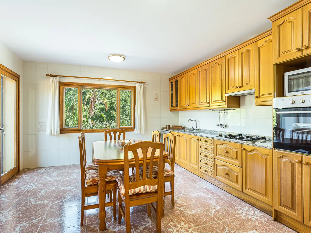 Schönes Landhaus mit Avocado-Farm-9