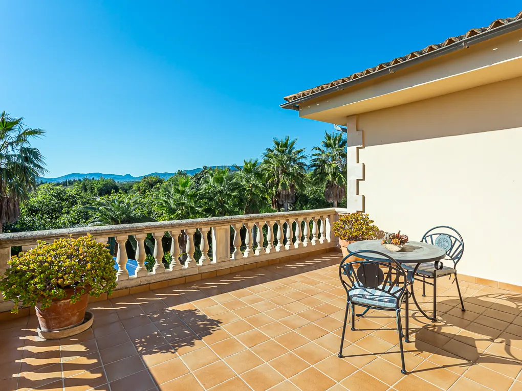 Schönes Landhaus mit Avocado-Farm-14
