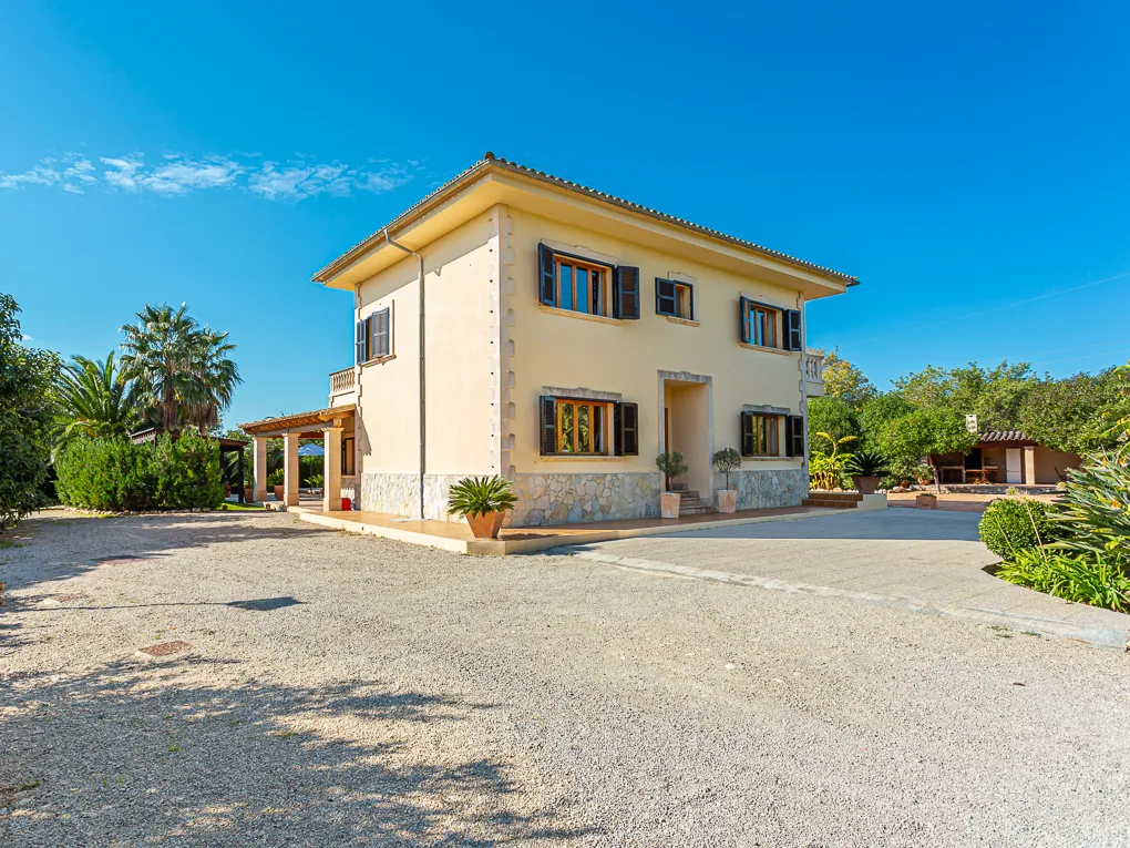 Schönes Landhaus mit Avocado-Farm-22