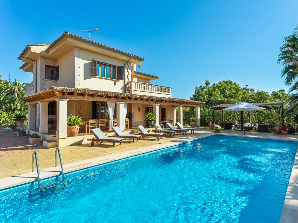 Schönes Landhaus mit Avocado-Farm-3