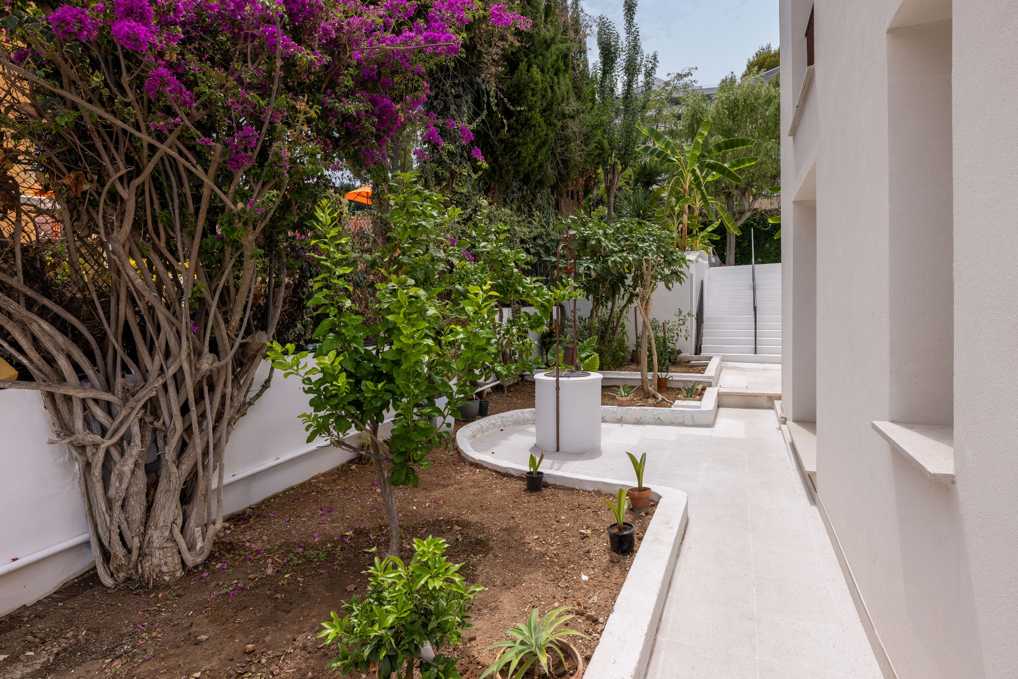 Beautifully renovated central house in Palma with Pool, Lush Garden & Cathedral Views-30