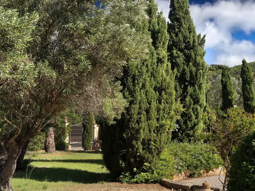 Charming country house with harbour views-10