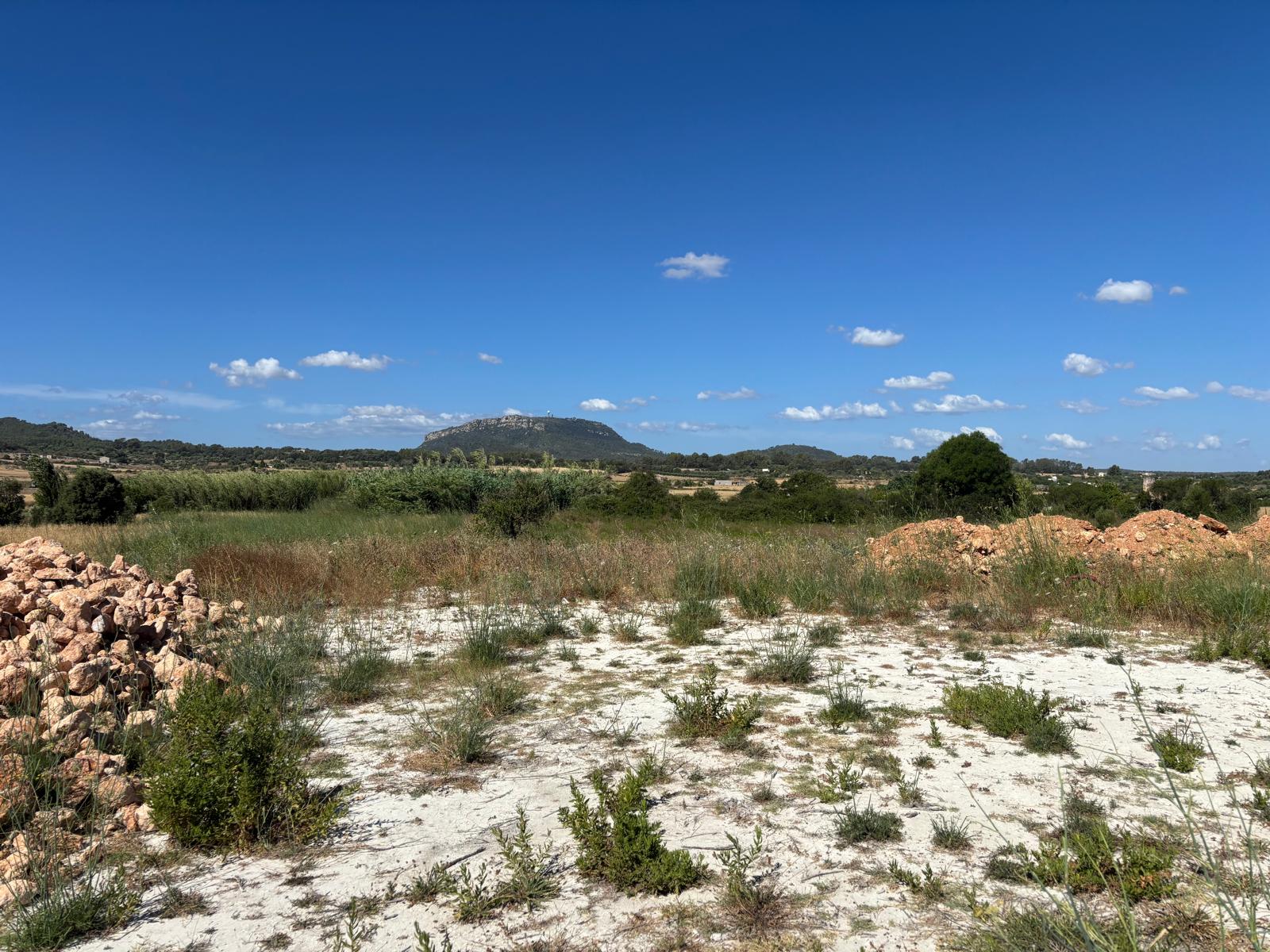 Dream plot in Montuïri with panoramic views of Puig de Randa-5