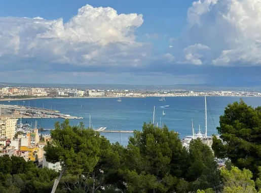 En unik privat tillflyktsort ovanför Palma-2