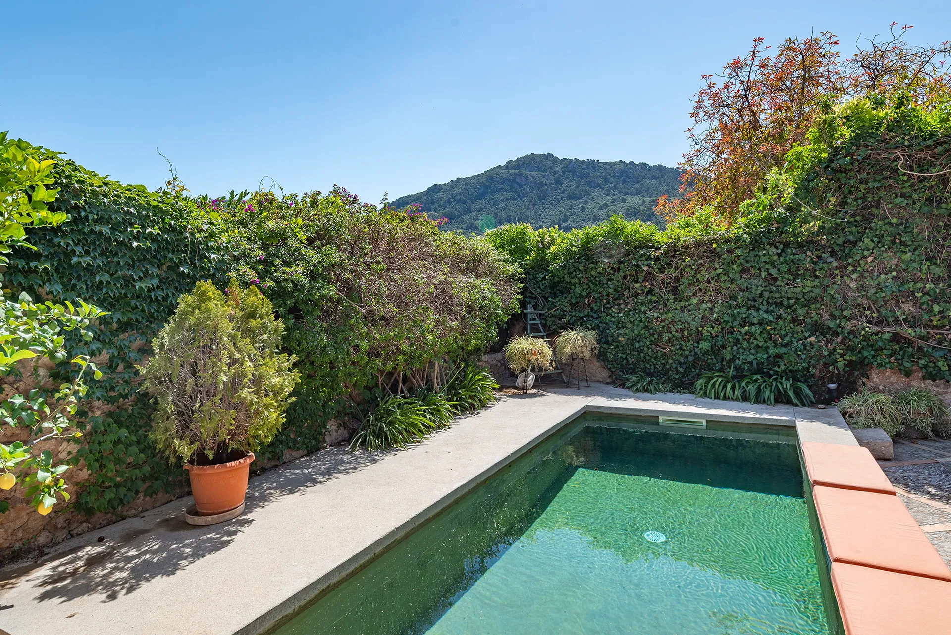 Mallorcan manor house with a pool in Valldemossa - Long term rental-37