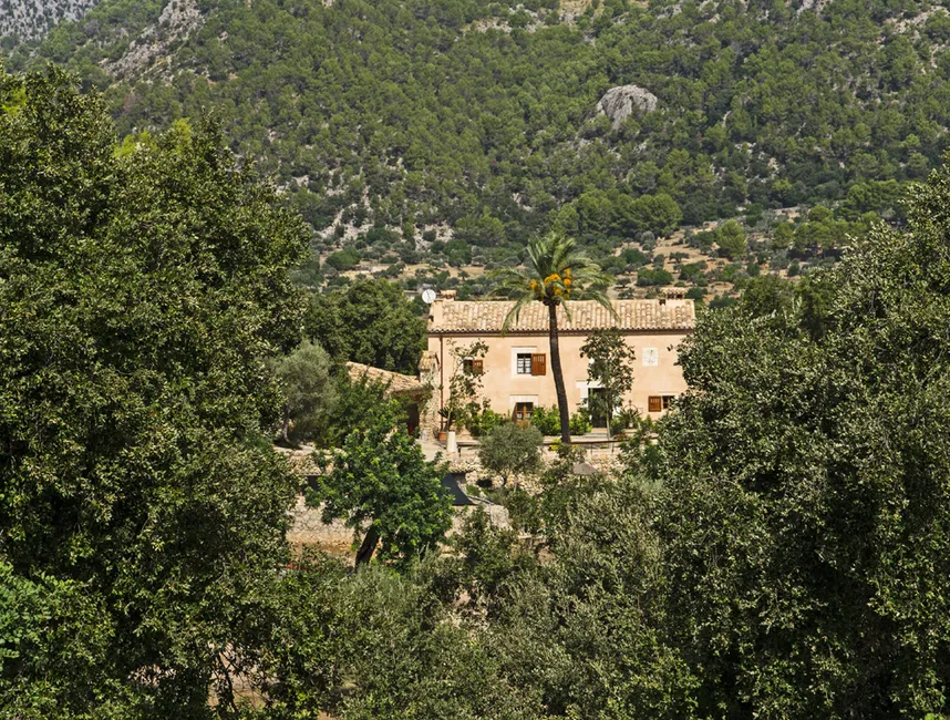 "ES RAFAL" Alquileres Vacacionales en Campanet-19