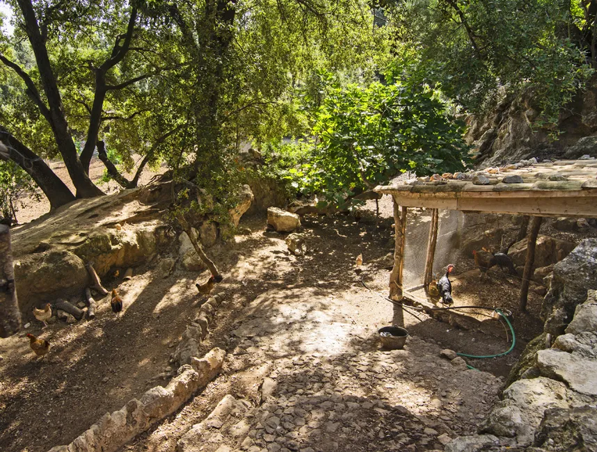"ES RAFAL" Alquileres Vacacionales en Campanet-18