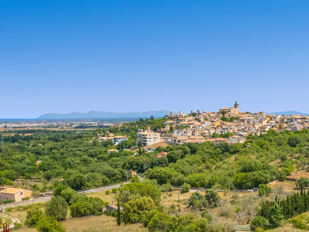 Village house with approved renovation project, Búger-4