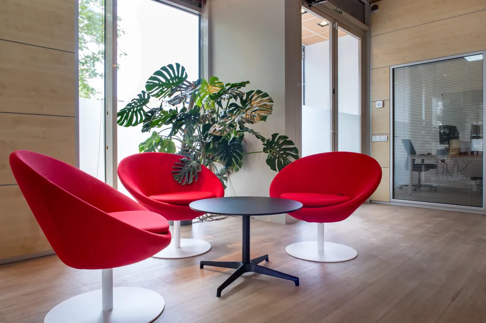 Exclusivo espacio de oficinas en Paseo Maritimo-7