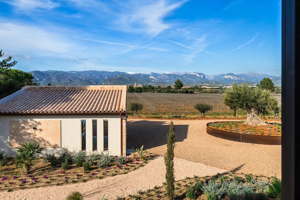 Oasis contemporaine avec son propre vignoble-14