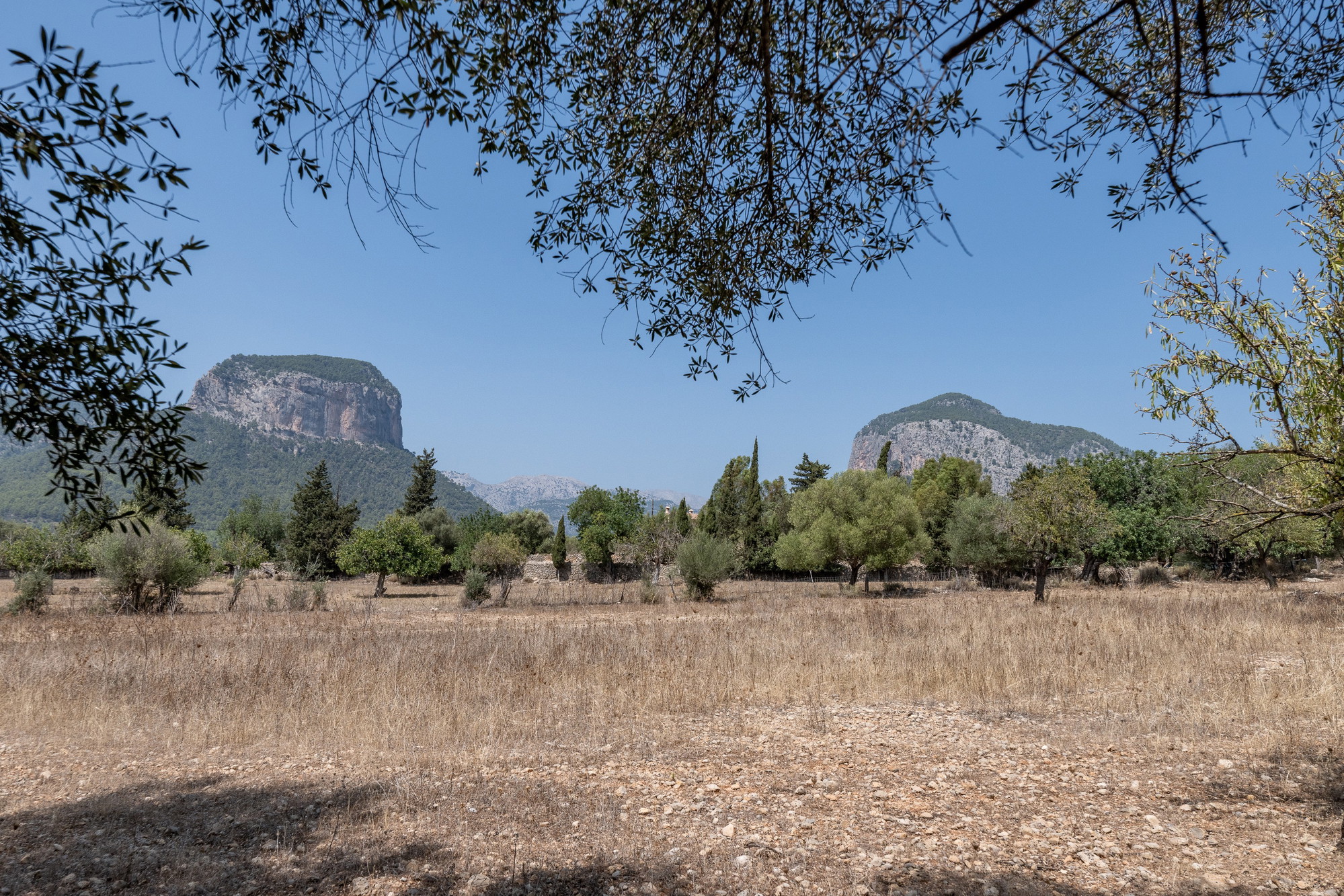 Finca with spectacular views in Alaró-16
