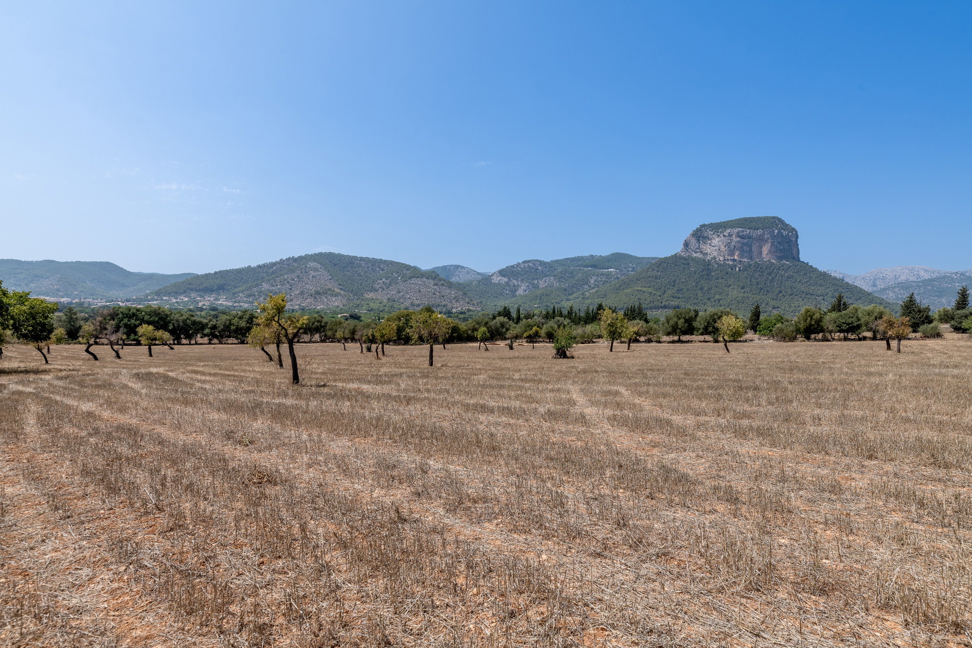 Finca with spectacular views in Alaró-17
