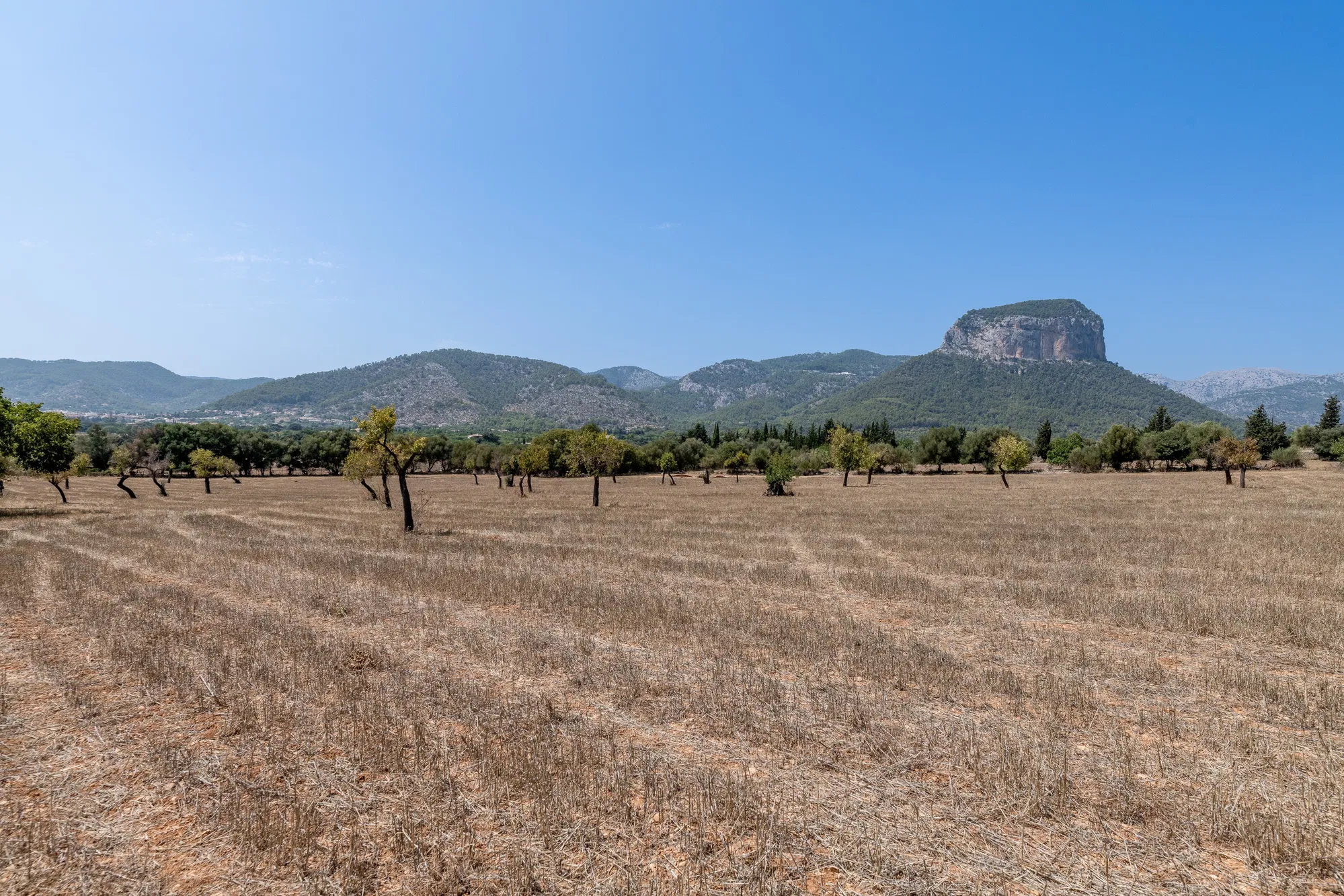 Finca with spectacular views in Alaró-17