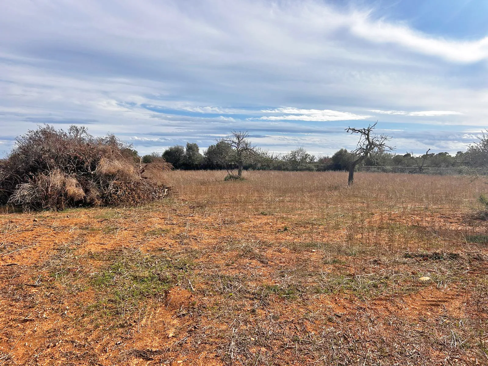 Solar con proyecto y licencia de obra en Llucmajor-4