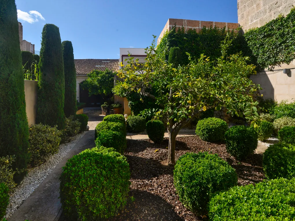 Autèntica casa de poble centríca en Llucmajor-14