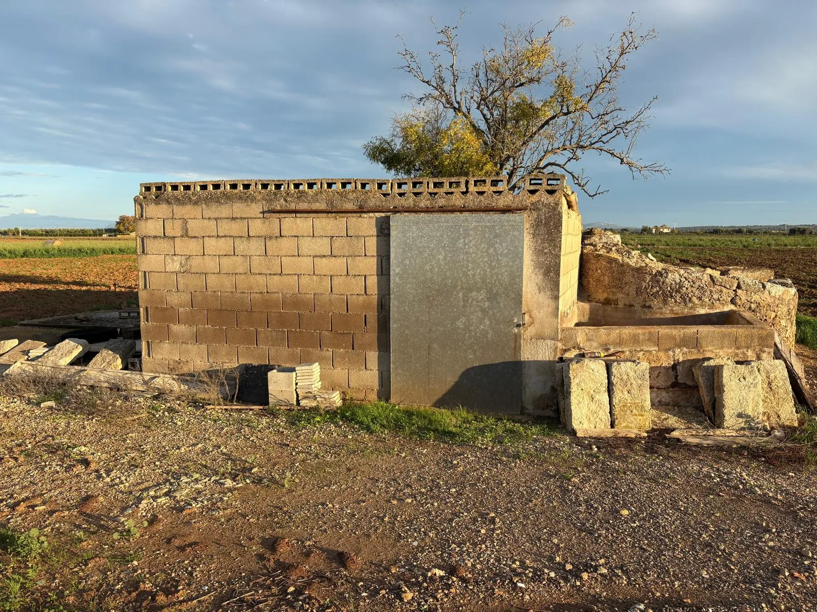 Grundstück mit genehmigtem Projekt und Baugenehmigung im Antragsverfahren in Sa Pobla-12