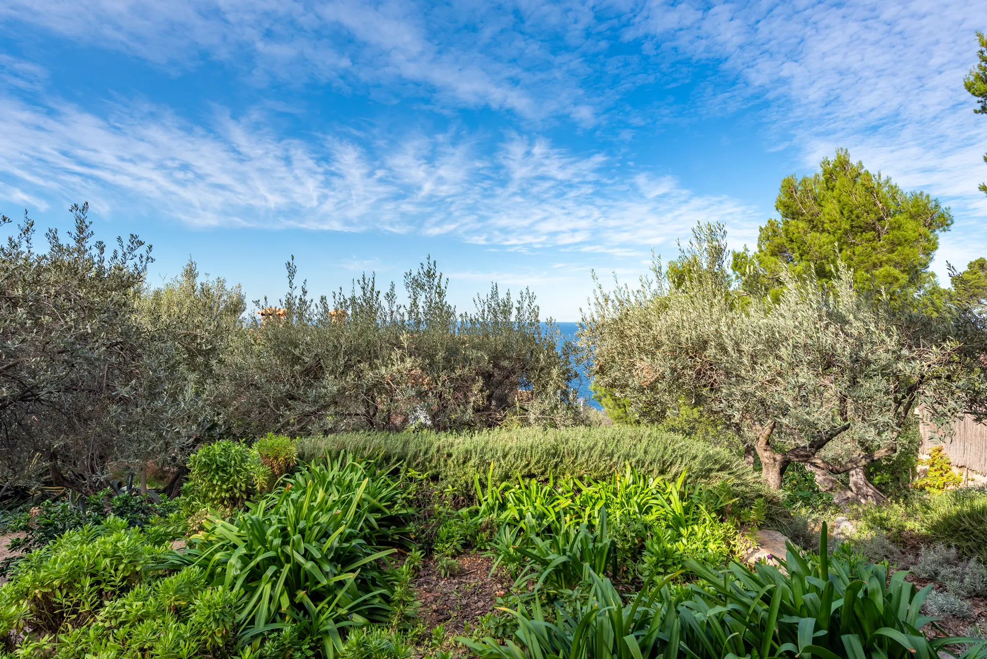 Een zeldzame schat in Deià - tijdloze elegantie met eindeloos uitzicht op zee-37