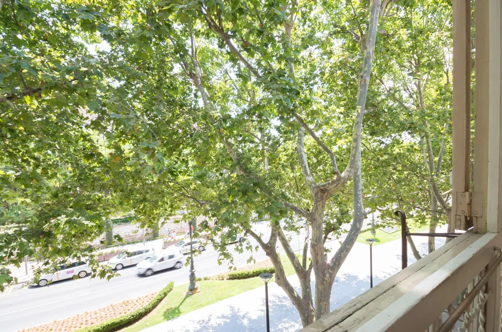 Elegant i lluminós apartament amb balcó en ple cor del Borne, amb vista a la Catedral-11