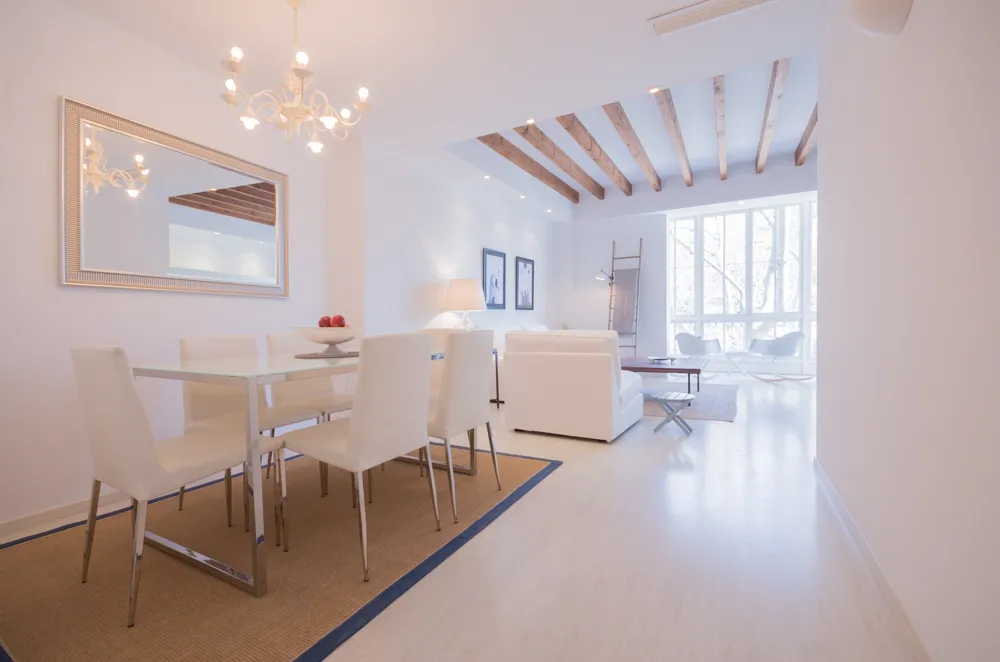 Elegant i lluminós apartament amb balcó en ple cor del Borne, amb vista a la Catedral-4