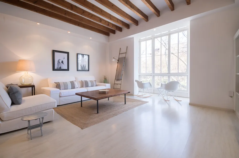 Elegant i lluminós apartament amb balcó en ple cor del Borne, amb vista a la Catedral-2