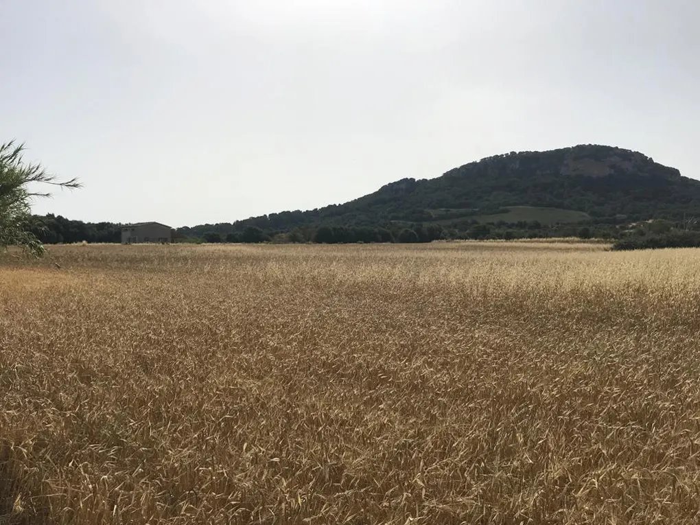 Terreno con moderno progetto di nuova costruzione a San Juan-3