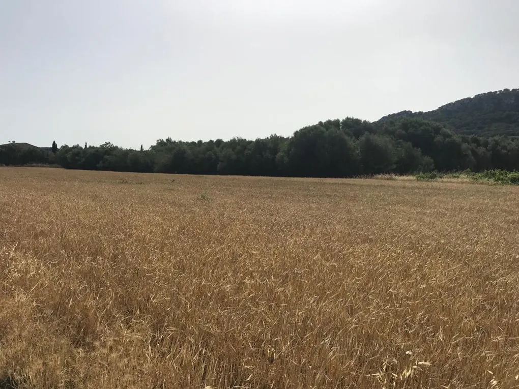 Terreno con moderno progetto di nuova costruzione a San Juan-6