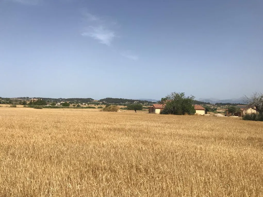 Terreno con moderno progetto di nuova costruzione a San Juan-4