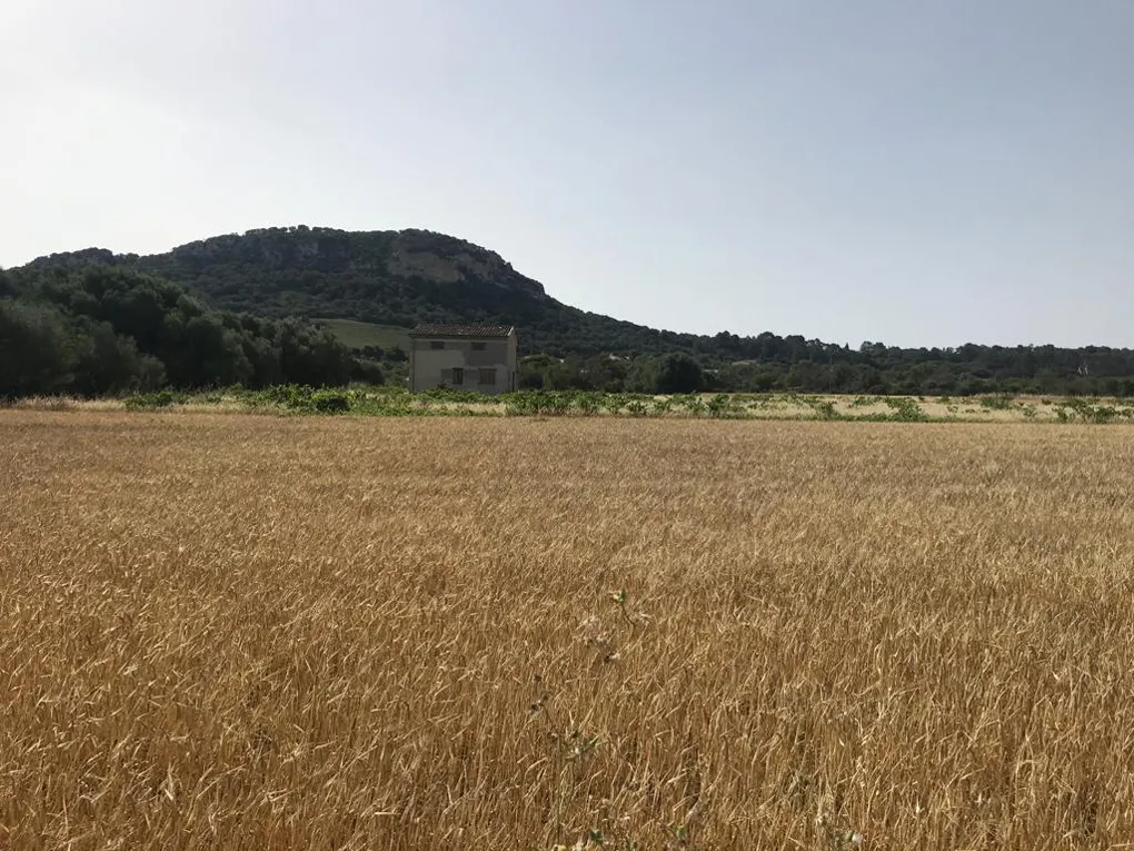 Perceel met modern nieuwbouwproject in San Juan-2