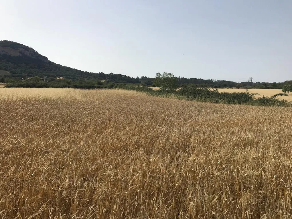 Terreno con moderno progetto di nuova costruzione a San Juan-1