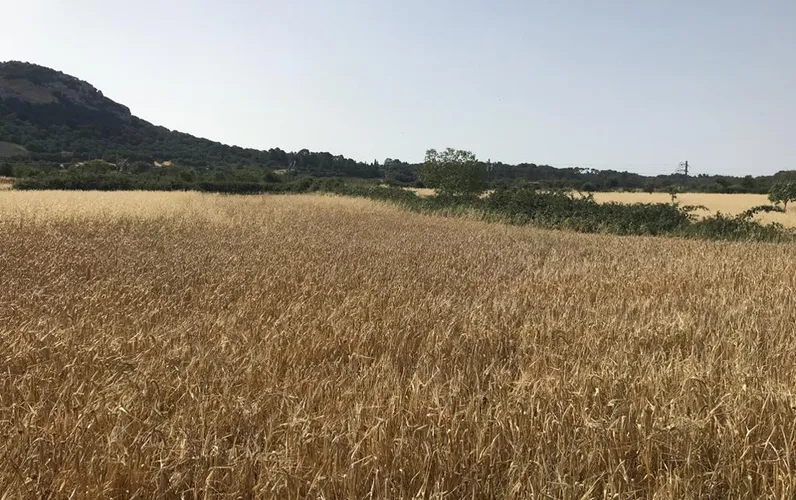 Plot with modern new building project