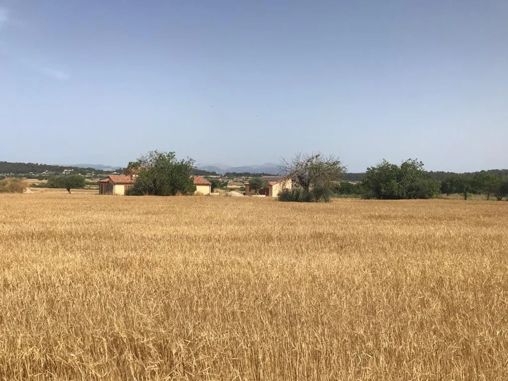 Terreno con moderno progetto di nuova costruzione a San Juan-5