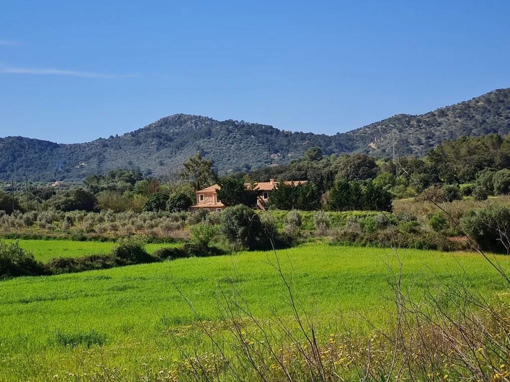 Natursteinfinca in ruhiger Lage-8