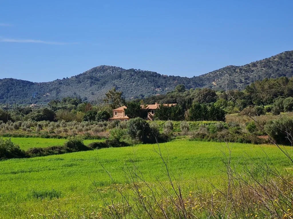 Finca i natursten med rolig beliggenhed-8
