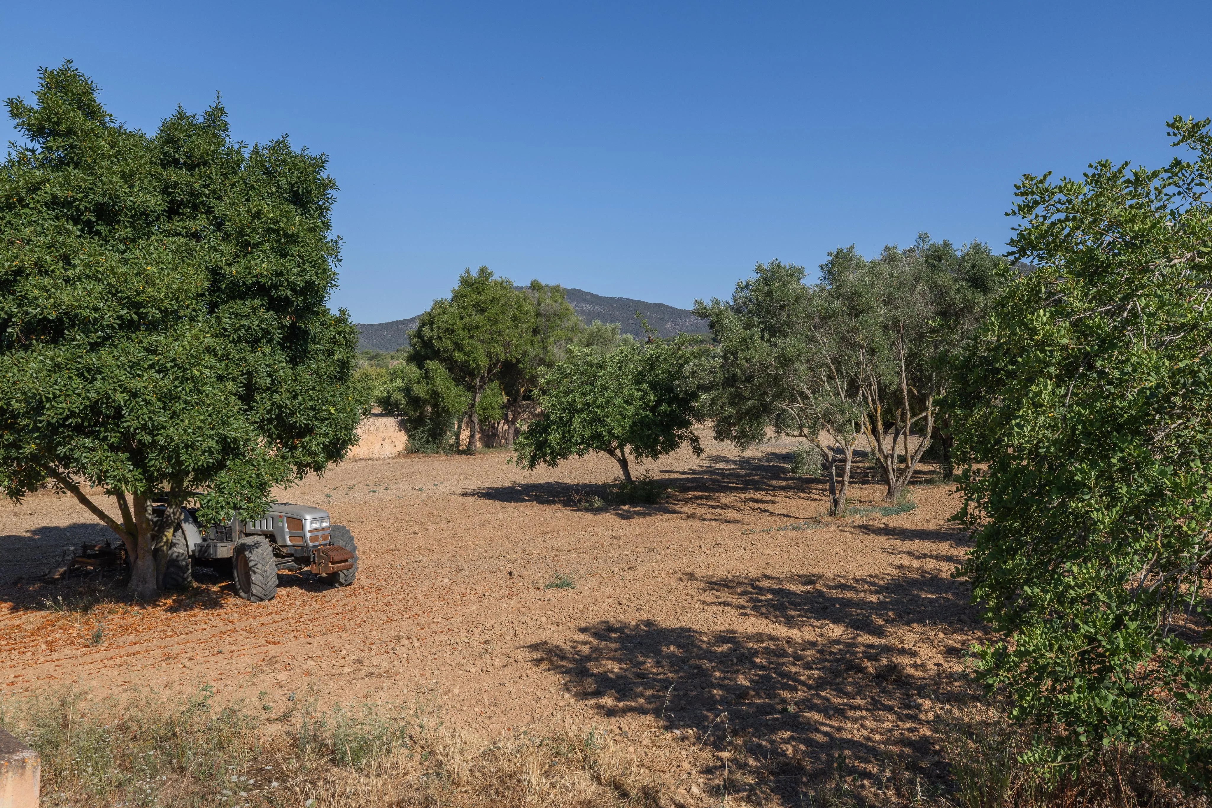 Charmante rustieke finca in Alaró-19