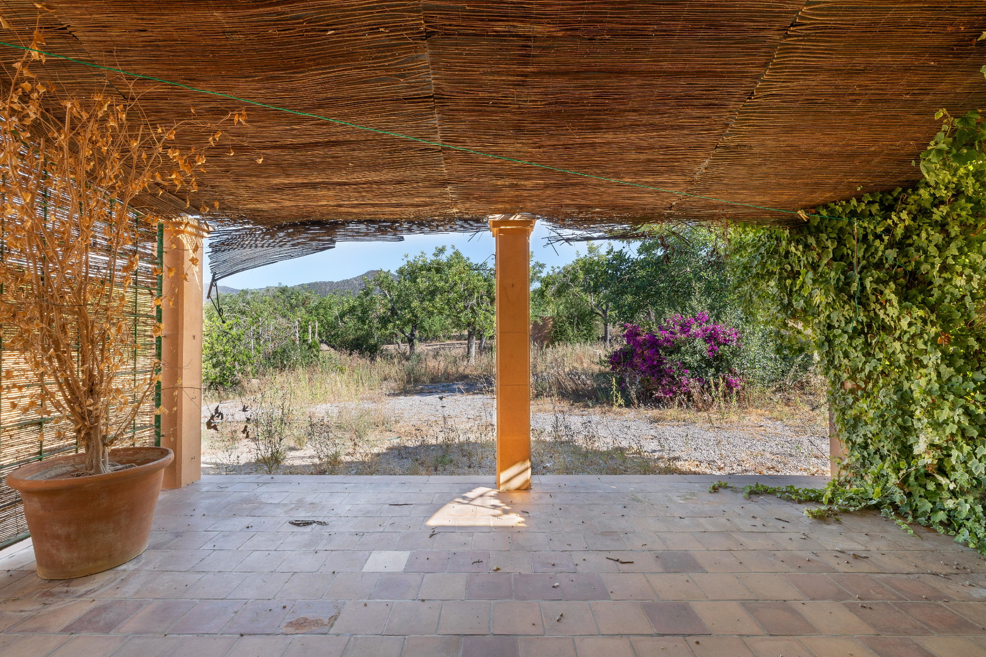 Encantadora casa de pagès a Alaró-1