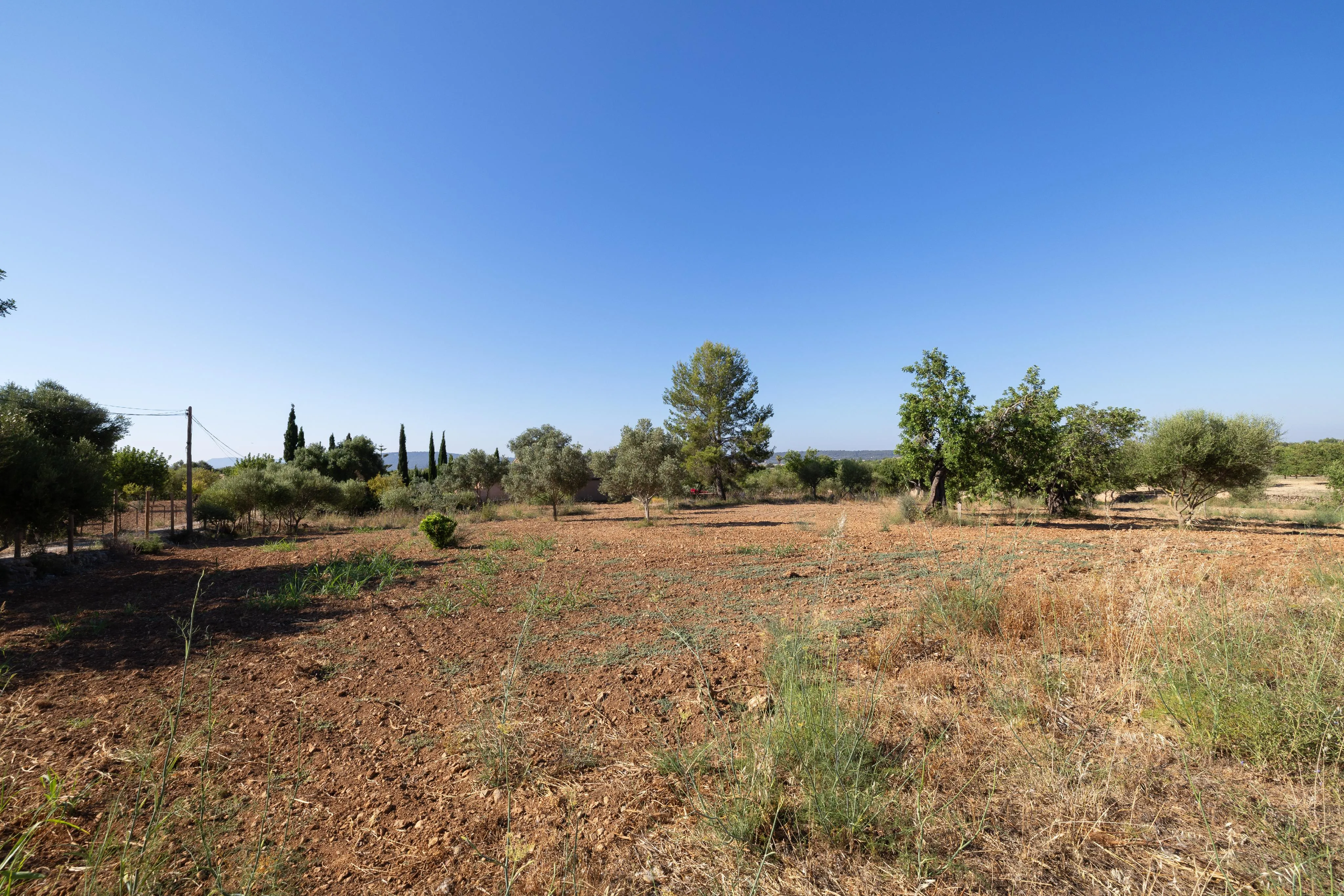 Charmante rustieke finca in Alaró-16