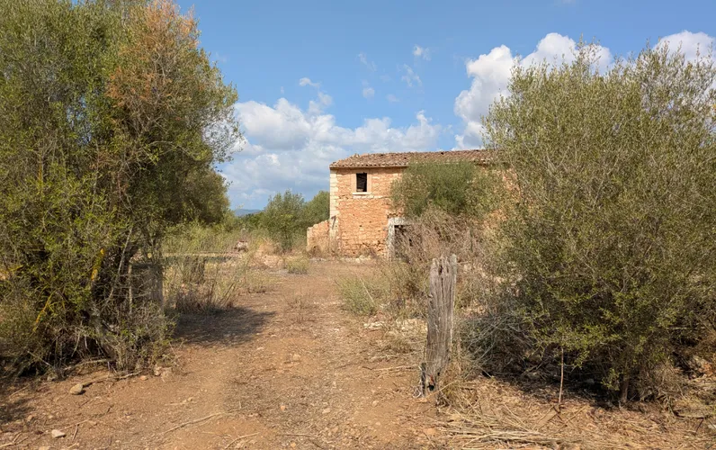 Gran terreno en Binissalem