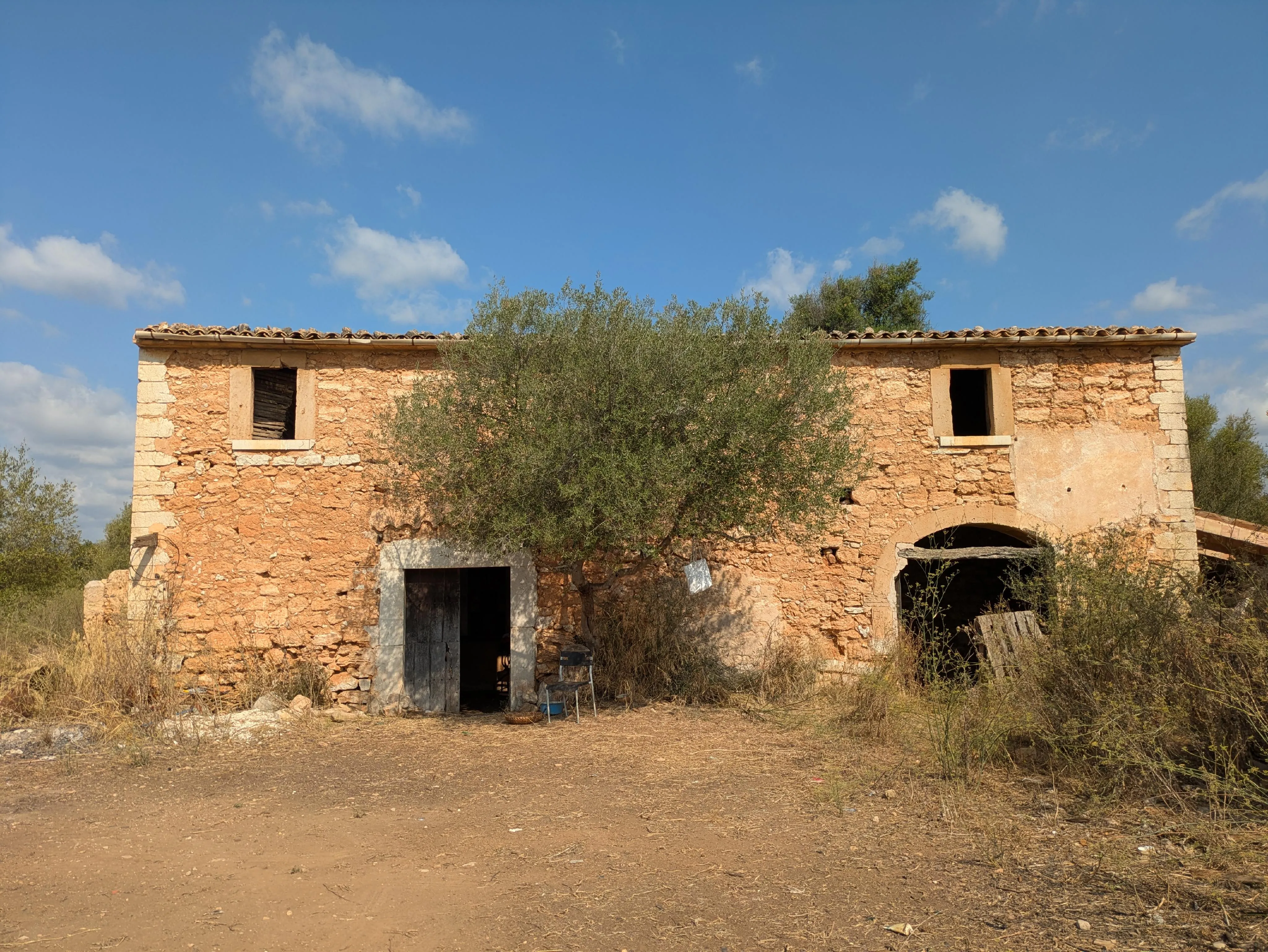 Gran parcel·la de terreny a Binissalem-4