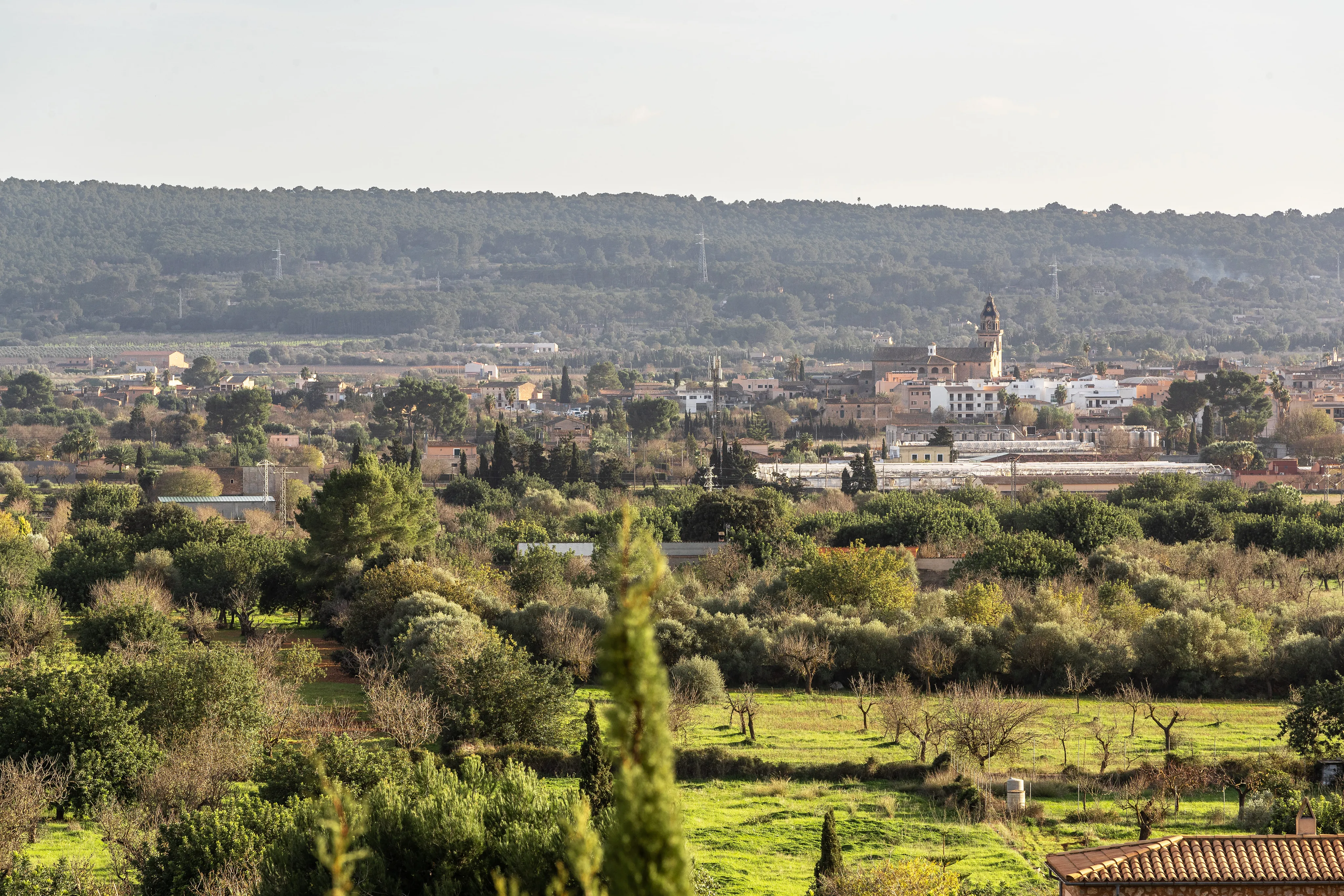 Casa de poble amb projecte a Santa María: espai per a disseny propi-4