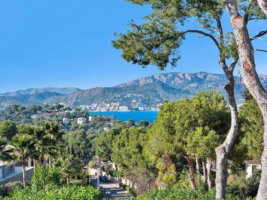 Het huis met de blauwe luiken-12