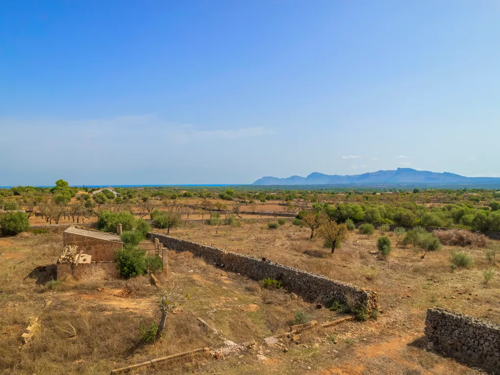 Esclusiva villa di campagna fuori piano a Santa Margalida - In vendita-13