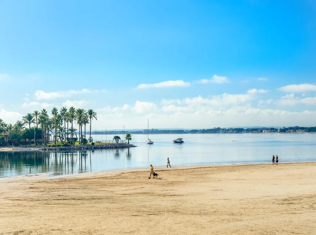 Més prop de la platja, impossible cerca-5