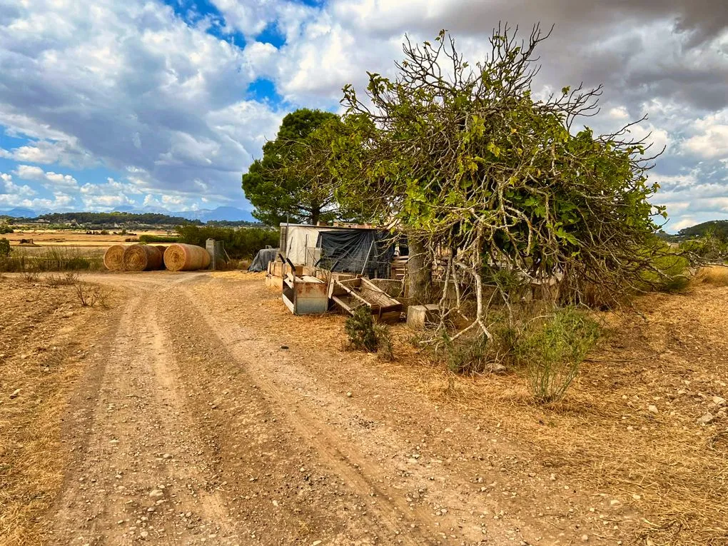 Terreno vicino a Sineu con vista sulle montagne-2