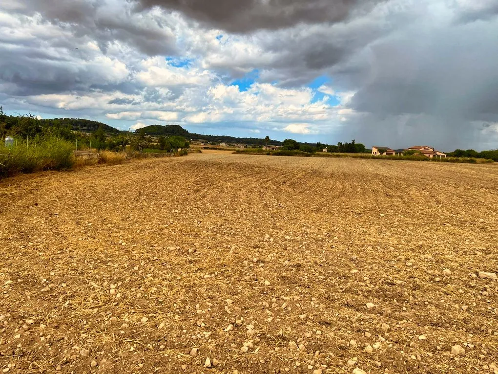 Plot close to Sineu with mountain view-3