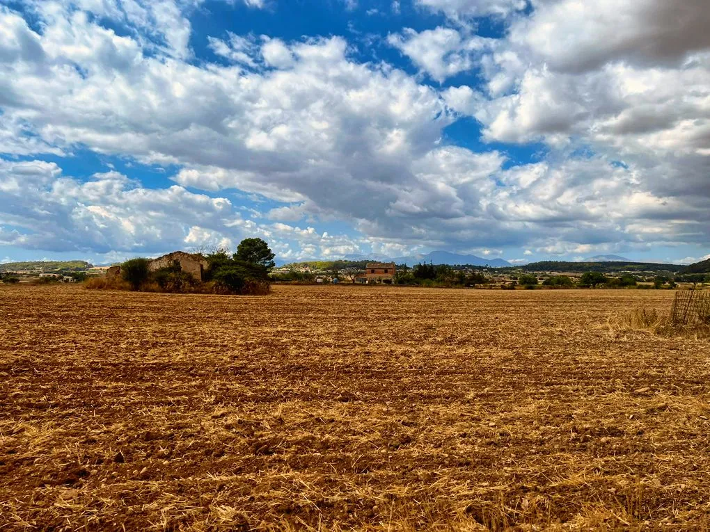 Terreno vicino a Sineu con vista sulle montagne-4